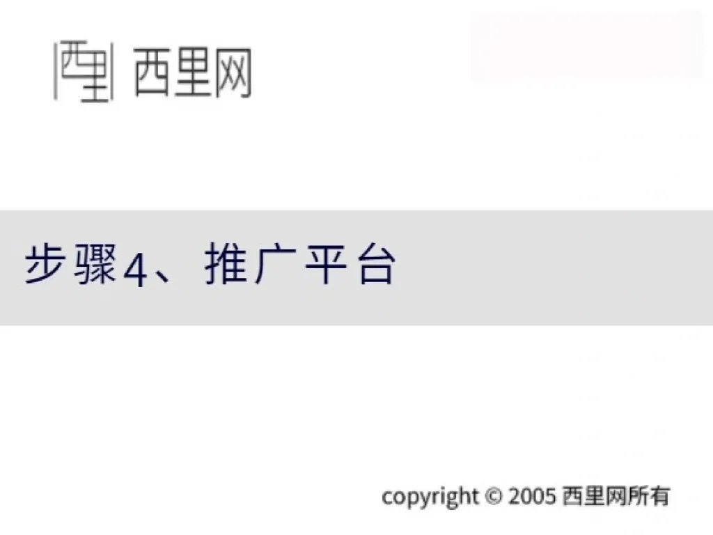 步骤4、推广平台