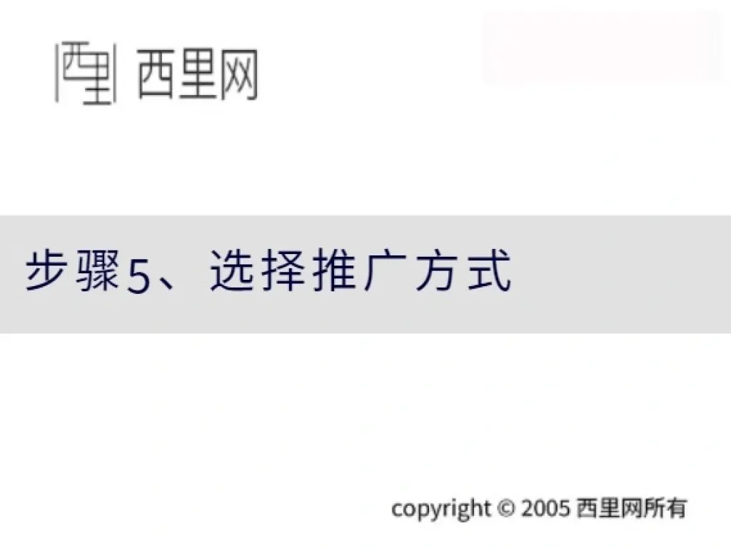 步骤5、选择推广方式