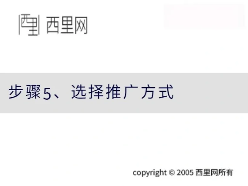 步骤5、选择推广方式