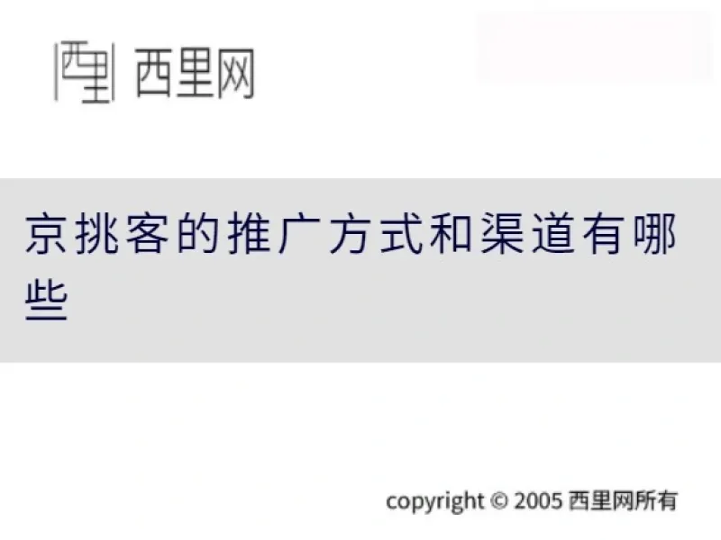 京挑客的推广方式和渠道有哪些