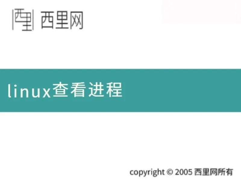 linux查看进程