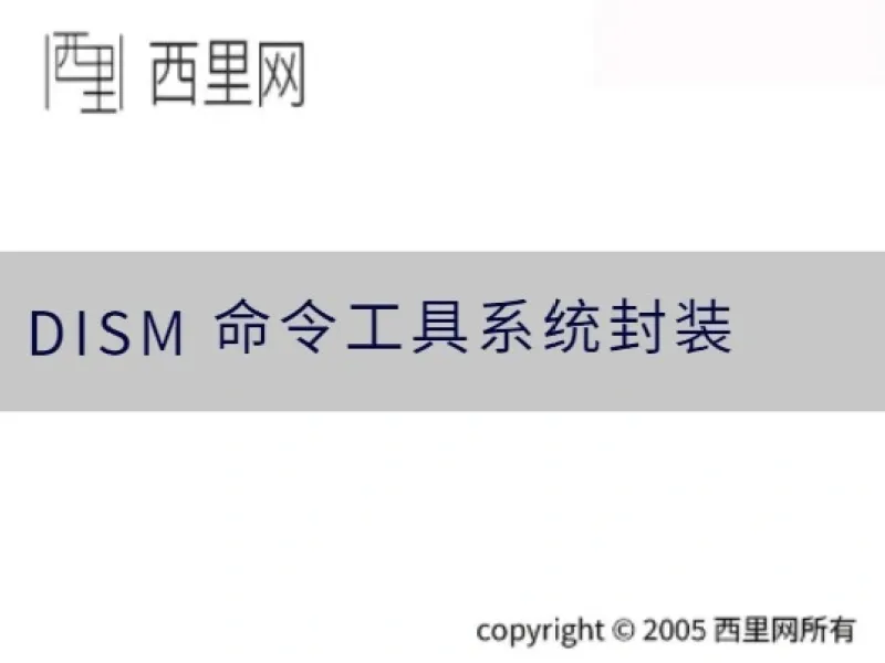 DISM 命令工具系统封装