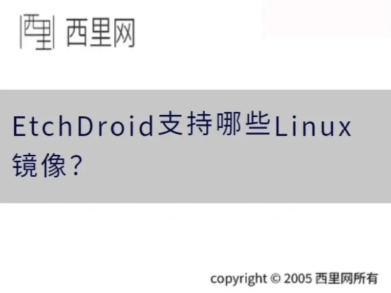 EtchDroid支持哪些Linux镜像？