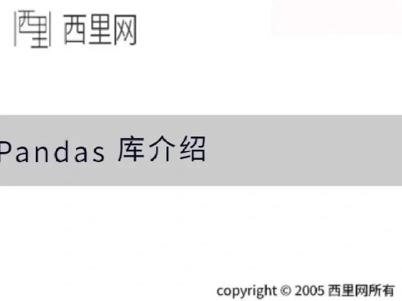 Pandas 库介绍