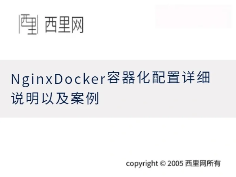 NginxDocker容器化配置详细说明以及案例