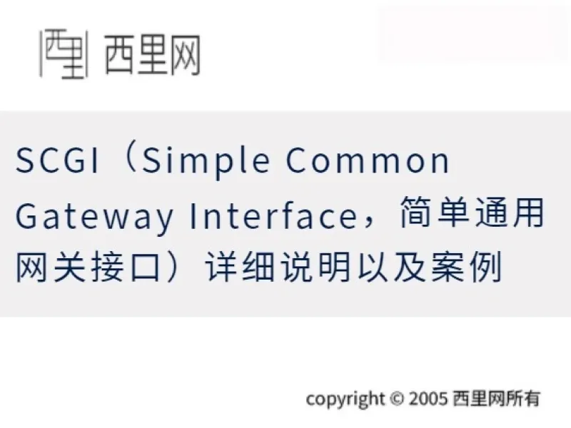 SCGI（Simple Common Gateway Interface，简单通用网关接口）详细说明以及案例