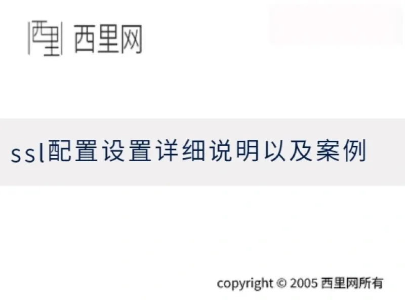 ssl配置设置详细说明以及案例