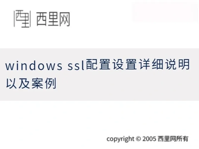 windows ssl配置设置详细说明以及案例