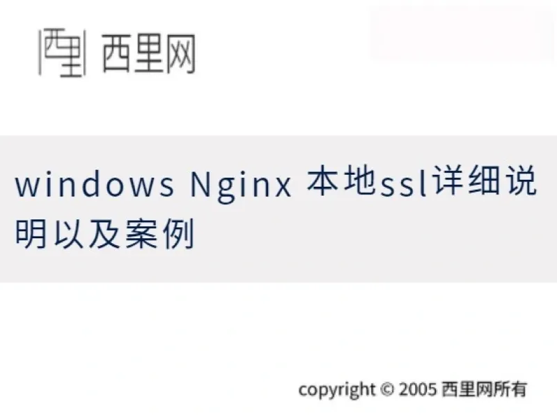 windows Nginx 本地ssl详细说明以及案例