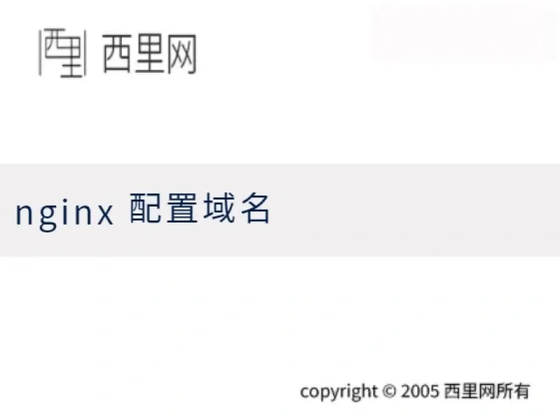 nginx 配置域名