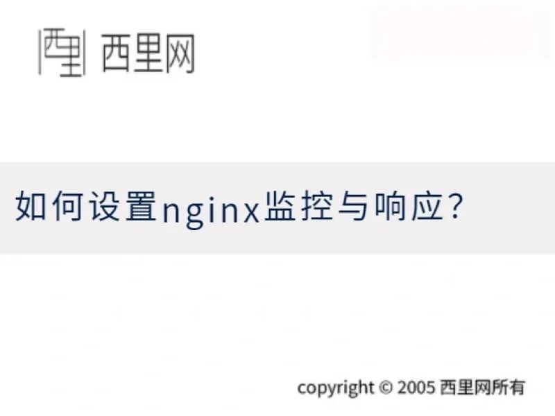 如何设置nginx监控与响应？