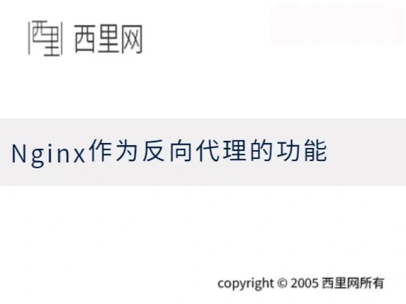 Nginx作为反向代理的功能