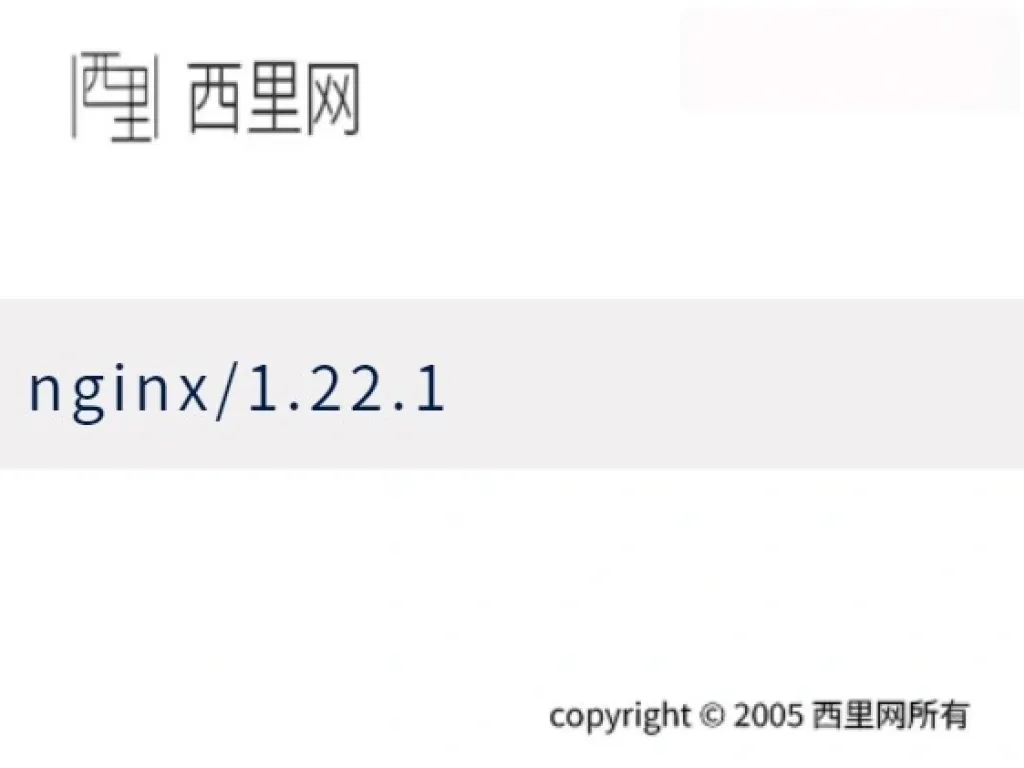 nginx/1.22.1