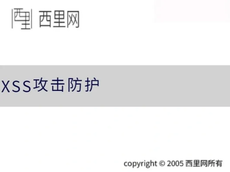 XSS攻击防护
