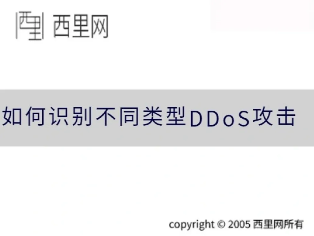 如何识别不同类型DDoS攻击