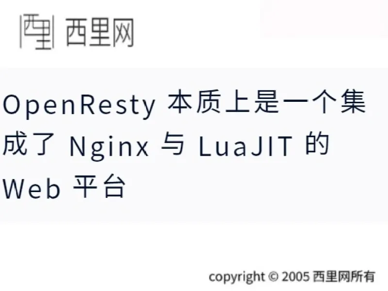 OpenResty 本质上是一个集成了 Nginx 与 LuaJIT 的 Web 平台