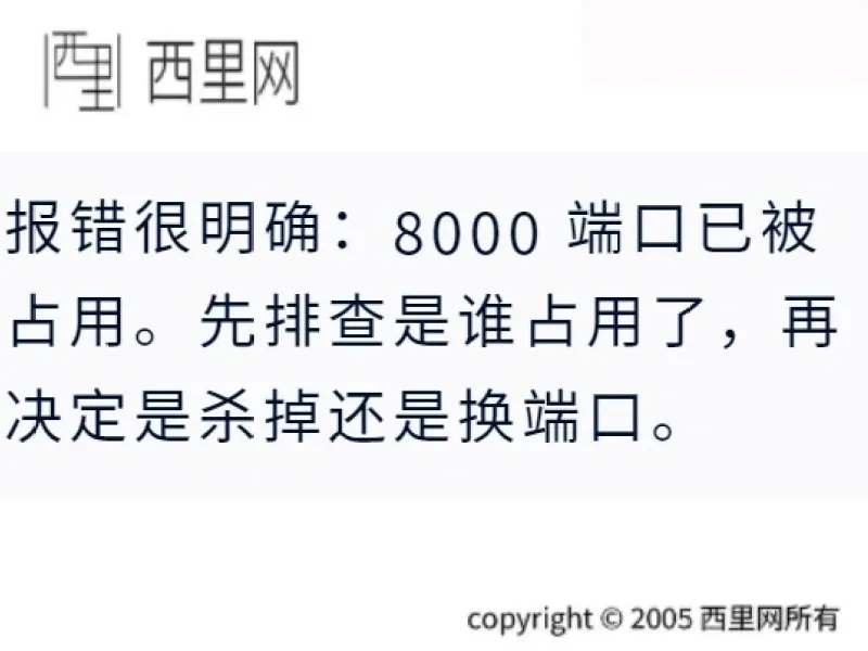 报错很明确：8000 端口已被占用。先排查是谁占用了，再决定是杀掉还是换端口。