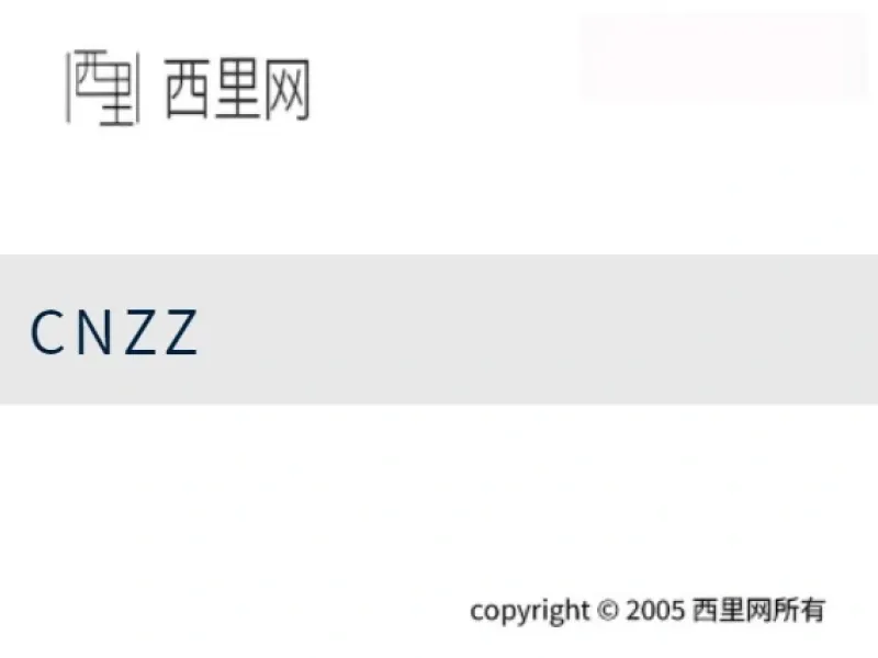 CNZZ