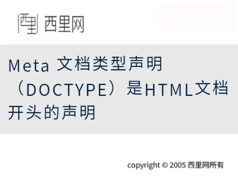 Meta 文档类型声明（DOCTYPE）是HTML文档开头的声明