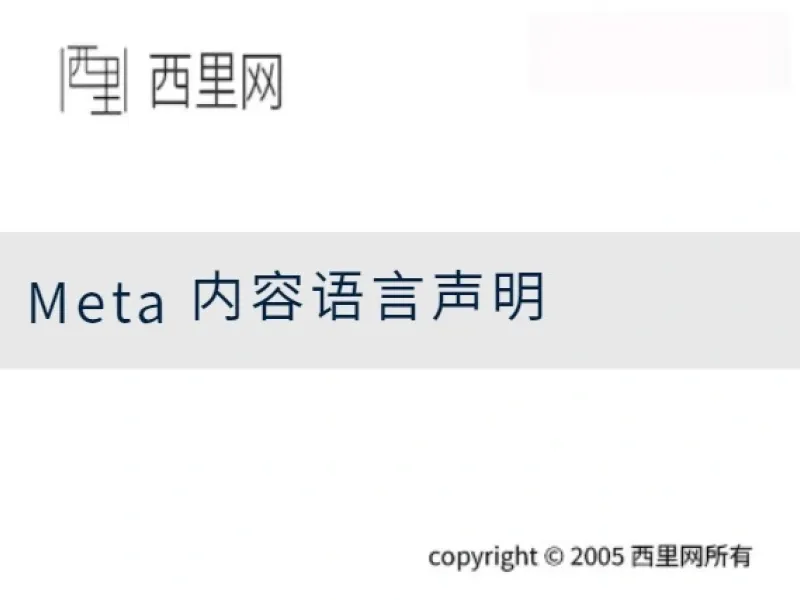 Meta 内容语言声明
